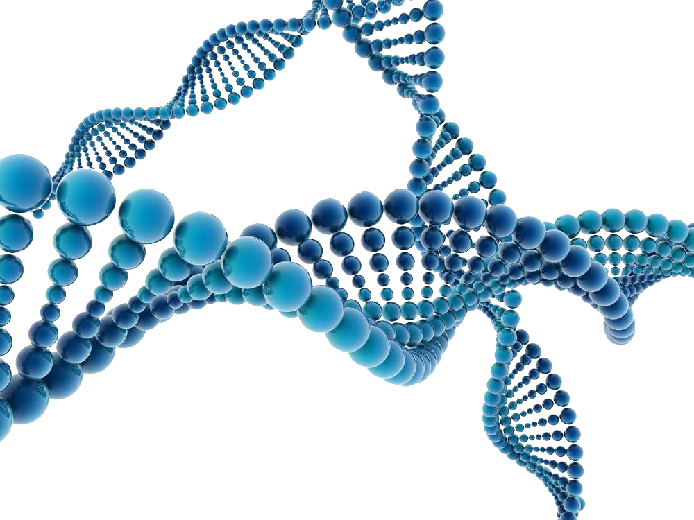 Rendering of a DNA double helix